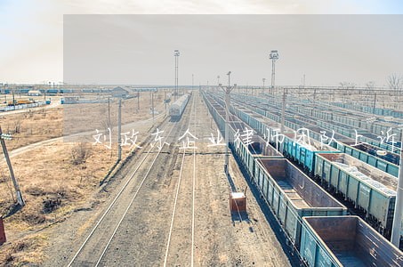 刘政东企业律师团队上诉律师 刘政东企业律师团队上诉律师