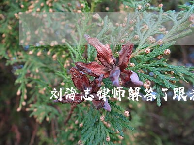刘海志律师解答了跟老公感情破裂 刘海志律师解答了跟老公感情破裂