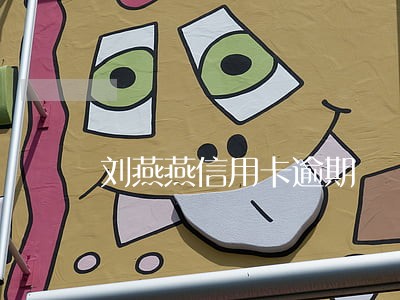 刘燕燕信用卡逾期 刘燕燕信用卡逾期