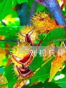 刘福兵律师 刘福兵律师