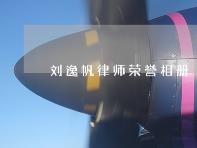刘逸帆律师荣誉相册
