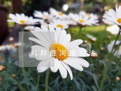 刘邦胜河南司法 刘邦胜河南司法