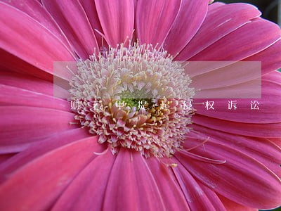 则若甲提起侵权诉讼 则若甲提起侵权诉讼