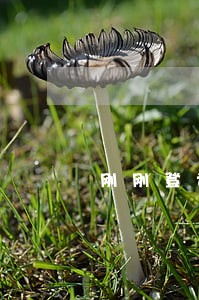 刚刚登记完就后悔想离婚了 刚刚登记完就后悔想离婚了