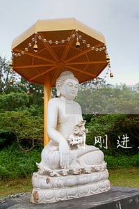 刚刚进入司法程序 刚刚进入司法程序