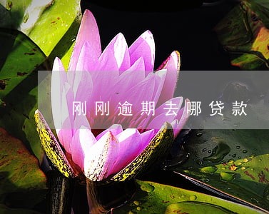 刚刚逾期去哪贷款 刚刚逾期去哪贷款