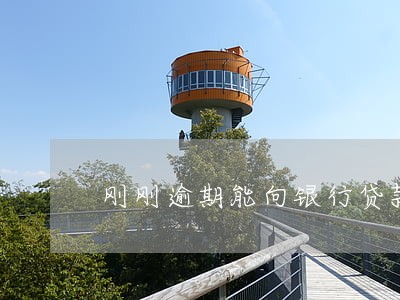 刚刚逾期能向银行贷款吗 刚刚逾期能向银行贷款吗