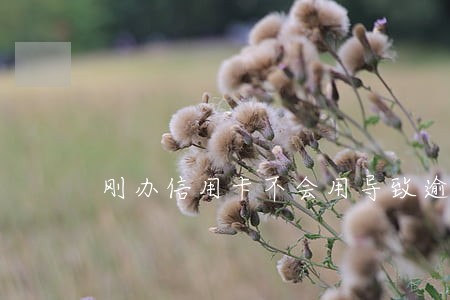 刚办信用卡不会用导致逾期 刚办信用卡不会用导致逾期