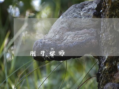 刚可律师 刚可律师