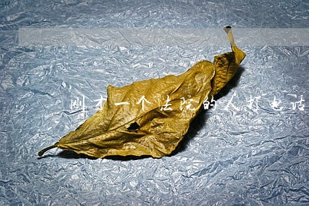 刚才一个法院的人打电话给我