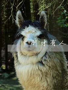 刚才有人打电话说是银行的我信用卡逾期 刚才有人打电话说是银行的我信用卡逾期