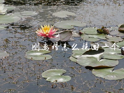 刚离婚怎么挽回一个女人的心 刚离婚怎么挽回一个女人的心