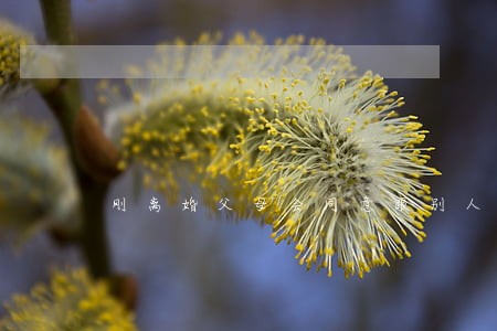 刚离婚父母会同意跟别人订婚吗 刚离婚父母会同意跟别人订婚吗
