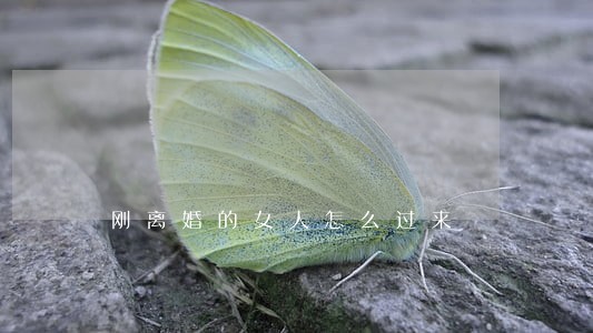 刚离婚的女人怎么过来