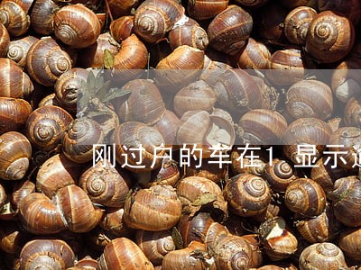 刚过户的车在1显示逾期检测 刚过户的车在1显示逾期检测