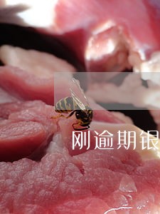 刚逾期银行会寄什么 刚逾期银行会寄什么