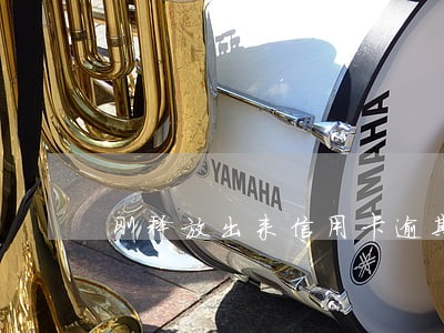 刚释放出来信用卡逾期怎么办 刚释放出来信用卡逾期怎么办