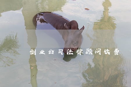 创业公司法律顾问收费 创业公司法律顾问收费