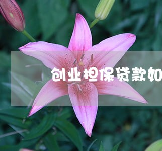 创业担保贷款如果逾期 创业担保贷款如果逾期