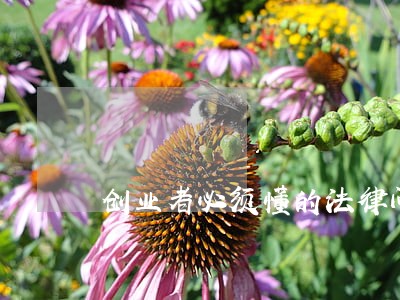 创业者必须懂的法律问题 创业者必须懂的法律问题