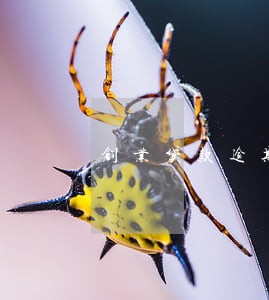 创业贷款逾期2个月 创业贷款逾期2个月