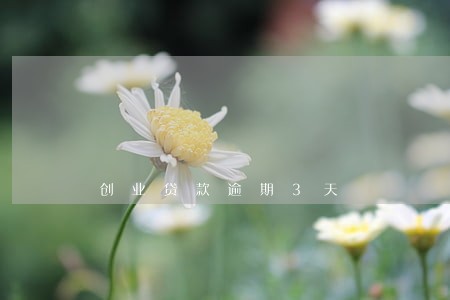 创业贷款逾期3天 创业贷款逾期3天