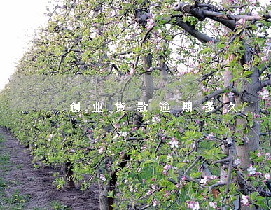 创业贷款逾期多久 创业贷款逾期多久