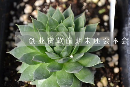 创业贷款逾期未还会不会坐牢 创业贷款逾期未还会不会坐牢
