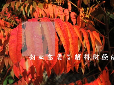 创业需要了解得财经法规