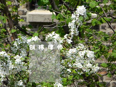 创伟律师 创伟律师