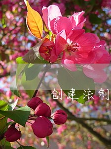 创建法制社区