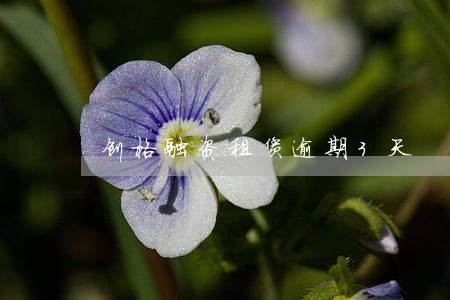 创格融资租赁逾期3天 创格融资租赁逾期3天