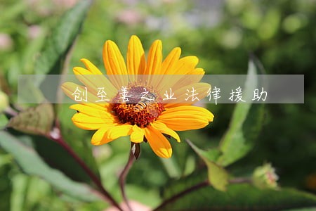 创至善之业法律援助