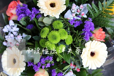 创设性法律关系有哪些