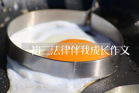 初三法律伴我成长作文 初三法律伴我成长作文