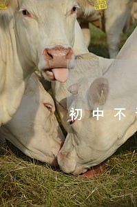 初中不读算违法吗 初中不读算违法吗