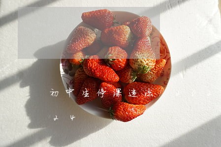 初中生停课违法/2023020886024 初中生停课违法/2023020886024