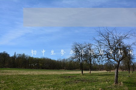 初中生参加法院庭审新闻 初中生参加法院庭审新闻