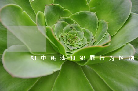 初中违法和犯罪行为区别 初中违法和犯罪行为区别