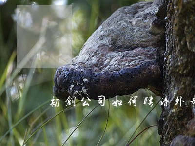 初创公司如何聘请外部法律顾问