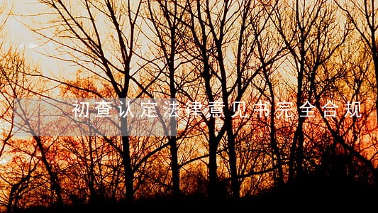 初查认定法律意见书完全合规 初查认定法律意见书完全合规