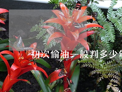 初次偷油一般判多少年 初次偷油一般判多少年