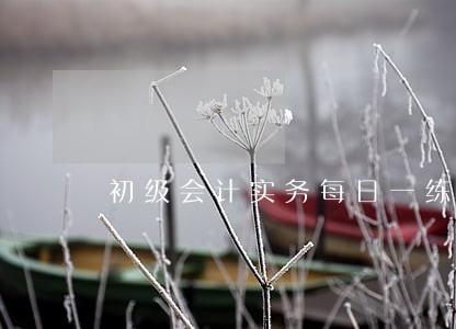 初级会计实务每日一练经济法基础 初级会计实务每日一练经济法基础