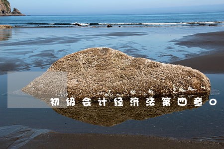 初级会计经济法第四章04 初级会计经济法第四章04