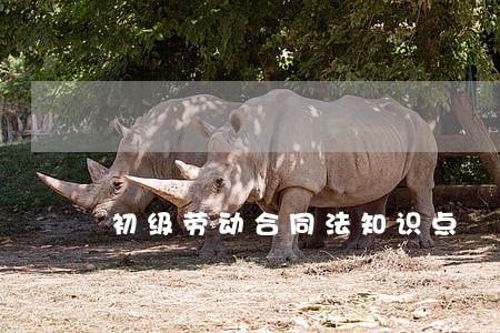 初级劳动合同法知识点 初级劳动合同法知识点