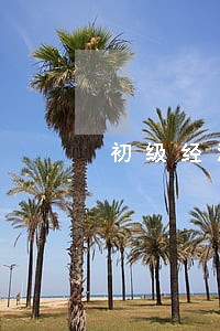 初级经济法基础提分知识点 初级经济法基础提分知识点