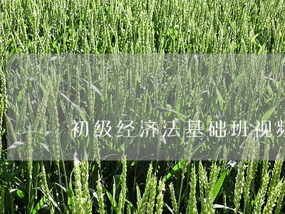 初级经济法基础班视频 初级经济法基础班视频