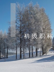初级职称代办多少钱