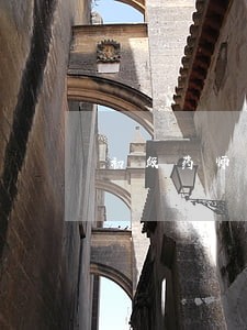 初级药师考试药事法规的复习方法 初级药师考试药事法规的复习方法