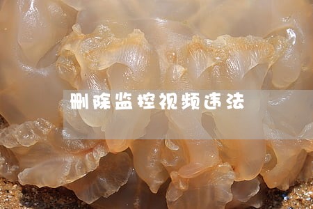 删除监控视频违法